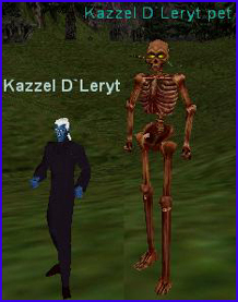 kazzel